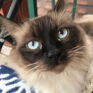 Meet your Posher, Meg